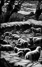 wood-engraving original print: Lambing Fold for Farmer's Glory